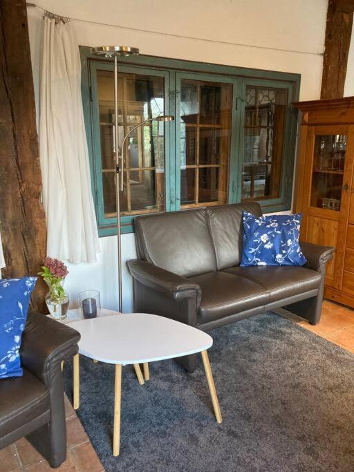 Idylle Unter Reet, Gemuetliche Ferienwohnug Apartment Haseldorf Ngoại thất bức ảnh