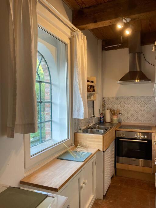 Idylle Unter Reet, Gemuetliche Ferienwohnug Apartment Haseldorf Ngoại thất bức ảnh
